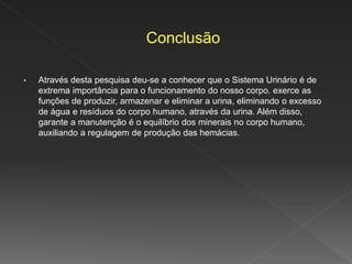 • Através desta pesquisa deu-se a conhecer que o Sistema Urinário é de
extrema importância para o funcionamento do nosso corpo. exerce as
funções de produzir, armazenar e eliminar a urina, eliminando o excesso
de água e resíduos do corpo humano, através da urina. Além disso,
garante a manutenção é o equilíbrio dos minerais no corpo humano,
auxiliando a regulagem de produção das hemácias.
 