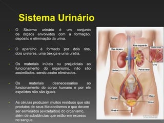 • O Sistema urinário é um conjunto
de órgãos envolvidos com a formação,
depósito e eliminação da urina.
• O aparelho é formado por dois rins,
dois ureteres, uma bexiga e uma uretra.
• Os materiais inúteis ou prejudiciais ao
funcionamento do organismo, não são
assimilados, sendo assim eliminados.
• Os materiais desnecessários ao
funcionamento do corpo humano e por ele
expelidos não são iguais.
• As células produzem muitos resíduos que são
produtos de seus Metabolismos e que devem
ser eliminados (excretados) do organismo,
além de substâncias que estão em excesso
no sangue.
 