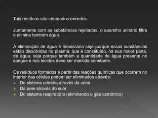 Tais resíduos são chamados excretas.
Juntamente com as substâncias rejeitadas, o aparelho urinário filtra
e elimina também água.
A eliminação de água é necessária seja porque essas substâncias
estão dissolvidas no plasma, que é constituído, na sua maior parte,
de água, seja porque também a quantidade de água presente no
sangue e nos tecidos deve ser mantida constante.
Os resíduos formados a partir das reações químicas que ocorrem no
interior das células podem ser eliminados através:
 Do sistema urinário através da urina
 Da pele através do suor
 Do sistema respiratório (eliminando o gás carbônico)
 
