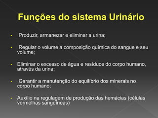• Produzir, armanezar e eliminar a urina;
• Regular o volume a composição química do sangue e seu
volume;
• Eliminar o excesso de água e resíduos do corpo humano,
através da urina;
• Garantir a manutenção do equilíbrio dos minerais no
corpo humano;
• Auxílio na regulagem de produção das hemácias (células
vermelhas sanguíneas)
 