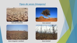 Tipos de secas (imagens)
Seca permanente Seca sazonal
Seca irregular e variável Seca invisível
 