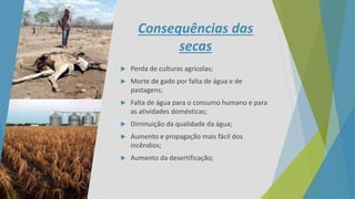 Consequências das
secas
 Perda de culturas agrícolas;
 Morte de gado por falta de água e de
pastagens;
 Falta de água para o consumo humano e para
as atividades domésticas;
 Diminuição da qualidade da água;
 Aumento e propagação mais fácil dos
incêndios;
 Aumento da desertificação;
 