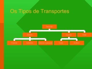 Os Tipos de Transportes 