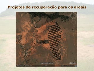 Projetos de recuperação para os areais 