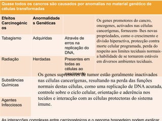 Quase todos os cancros são causados por anomalias no material genético de
células transformadas
Efeitos
Carcinogénic
os

Anormalidade
s Genéticas

Tabagismo

Adquiridas

Radiação

Herdadas

Substâncias
Químicas

Agentes
Infecciosos

Através de
erros na
replicação do
DNA,

Os genes promotores do cancro,
oncogenes, activados nas células
cancerígenas, fornecem- lhes novas
propriedades, como o crescimento e
divisão hiperactiva, protecção contra
morte celular programada, perda do
respeito aos limites teciduais normais e
a habilidade de se tornarem estáveis
em diversos ambientes teciduais.

Presentes em
todas as
células ao
nascimento
supressores de tumor

Os genes
estão geralmente inactivados
nas células cancerígenas, resultando na perda das funções
normais destas células, como uma replicação de DNA acurada,
controle sobre o ciclo celular, orientação e aderência nos
tecidos e interacção com as células protectoras do sistema
imune.

 