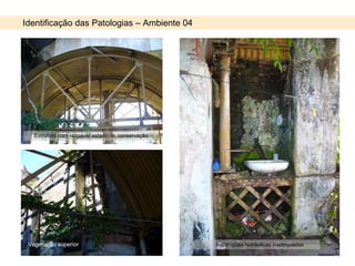 Identificação das Patologias – Ambiente 04 Vegetação superior  Estrutura com razoável estado de conservação   Instalações hidráulicas inadequadas   