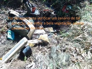 … . Foi desapontante verificar um cenário de tal poluição, por entre a bela vegetação  aquela camada de detritos.  