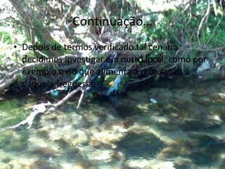 Continuação… Depois de termos verificado tal cenário decidimos investigar em outro local, como por exemplo o rio que alimenta a população daquela freguesia. 