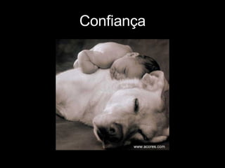 Confiança 
