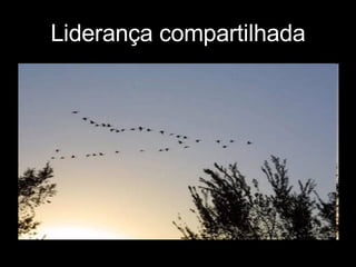 Liderança compartilhada 
