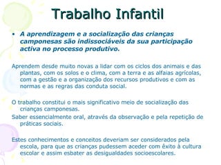 Trabalho Infantil A aprendizagem e a socialização das crianças camponesas são indissociáveis da sua participação activa no processo produtivo. Aprendem desde muito novas a lidar com os ciclos dos animais e das plantas, com os solos e o clima, com a terra e as alfaias agrícolas, com a gestão e a organização dos recursos produtivos e com as normas e as regras das conduta social. O trabalho constitui o mais significativo meio de socialização das crianças camponesas. Saber essencialmente oral, através da observação e pela repetição de práticas sociais. Estes conhecimentos e conceitos deveriam ser considerados pela escola, para que as crianças pudessem aceder com êxito à cultura escolar e assim esbater as desigualdades socioescolares.  
