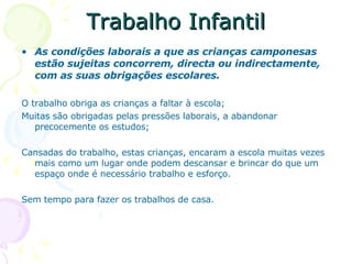 Trabalho Infantil As condições laborais a que as crianças camponesas estão sujeitas concorrem, directa ou indirectamente, com as suas obrigações escolares. O trabalho obriga as crianças a faltar à escola;  Muitas são obrigadas pelas pressões laborais, a abandonar precocemente os estudos; Cansadas do trabalho, estas crianças, encaram a escola muitas vezes mais como um lugar onde podem descansar e brincar do que um espaço onde é necessário trabalho e esforço. Sem tempo para fazer os trabalhos de casa.  