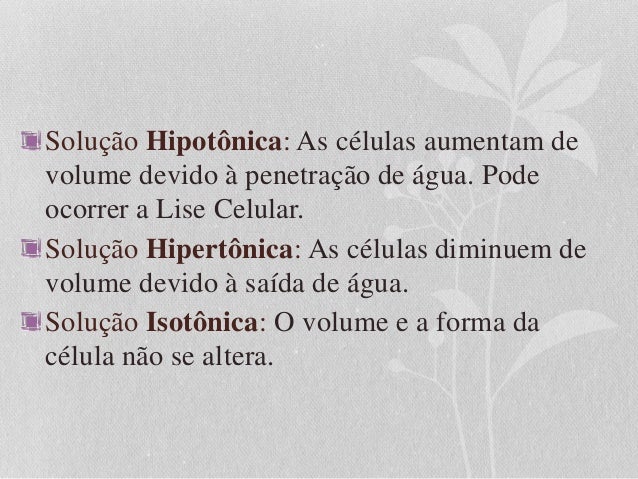 Carlos Azevedo Biologia Celular Molecular Pdf Editor Carlos Azevedo Biologia Celular Molecular Pdf Editor