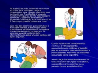 Na ausência de pulso, quando se tratar de um
socorrista, fazer massagem cardíaca,
comprimindo o tórax 15 vezes, alternando esse
movimento com 2 ventilações, procurando
manter uma frequencia de 80 a 100 massagens
por minuto. O socorrista deve verificar a
eficiência da reanimação, após 5 ciclos de 15 por
2. Sempre procurando a presença de pulso.
Caso haja dois socorristas que saibam fazer a
massagem cardíaca, a ressucitação cardio-
pulmonar deve ser feita utilizando o método de
uma ventilação para cinco massagens. O
socorrista que está ventilando deve,
intermitentemente, palpar uma das carótidas por
alguns segundos.
Quando você não tem conhecimento do
ocorrido, e a vítima apresentar,
concomitantemente, rigidez de articulação,
pele fria e arroxeada, manchas hipostáticas e
pupilas dilatadas, não deverá ser realizada a
ressucitação cárdio-respiratória.
A ressucitação cárdio-respiratória deverá ser
finalizada quando as funções vitais retornar,
na exaustão do único socorrista ou na
presença de uma autoridade médica.
 