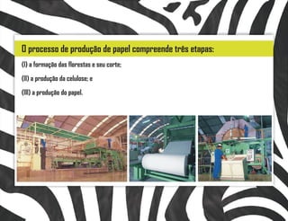 O processo de produção de papel compreende três etapas:
(I) a formação das florestas e seu corte;
(II) a produção da celulose; e
(III) a produção do papel.
 