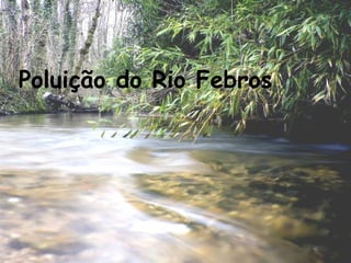 Poluição do Rio Febros 