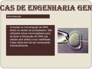 cas de Engenharia Gené
 Microinjecção



  Consiste na microinjeção de DNA
   direto no núcleo de protoplastos. São
   utilizados tubos microcapilares para
   se fazer a introdução do DNA nas
   células sem afetar a sua viabilidade.
   Cada célula tem de ser manipulada
   individualmente.
 