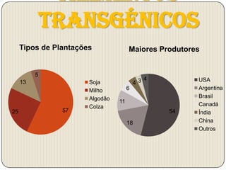 Alimentos
              Transgénicos
     Tipos de Plantações              Maiores Produtores


          5
     13                Soja               4 3 4        USA
                       Milho          6                Argentina
                       Algodão                         Brasil
                                 11
                       Colza                           Canadá
25              57                                54   Índia
                                      18               China
                                                       Outros
 