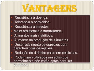Vantagens
 