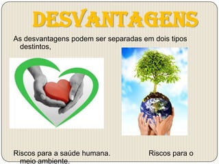 Desvantagens
As desvantagens podem ser separadas em dois tipos
 destintos,




Riscos para a saúde humana.           Riscos para o
  meio ambiente.
 