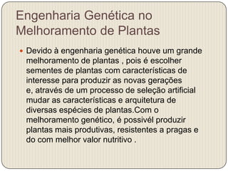 Engenharia Genética no
Melhoramento de Plantas
 Devido à engenharia genética houve um grande
 melhoramento de plantas , pois é escolher
 sementes de plantas com características de
 interesse para produzir as novas gerações
 e, através de um processo de seleção artificial
 mudar as características e arquitetura de
 diversas espécies de plantas.Com o
 melhoramento genético, é possivél produzir
 plantas mais produtivas, resistentes a pragas e
 do com melhor valor nutritivo .
 