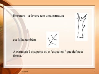 07-06-09 Estrutura  – a árvore tem uma estrutura e a folha também A estrutura é o suporte ou o "esqueleto" que define a forma.  