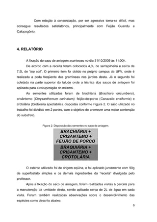 Com relação à consorciação, por ser agressiva torna-se difícil, mas
consegue     resultados   satisfatórios,   principalmente    com    Feijão   Guandu   e
Calopogônio.




4. RELATÓRIO


      A fixação do saco de aniagem aconteceu no dia 31/10/2009 às 11:00h.
      De acordo com a receita foram colocados 4,0L de serrapilheira e cerca de
7,5L de “top soil”. O primeiro item foi obtido no próprio campus da UFV, onde é
realizada a poda freqüente das gramíneas nos jardins desta. Já o segundo foi
coletado na parte superior do talude onde a técnica dos sacos de aniagem foi
aplicada para a recuperação do mesmo.
      As sementes utilizadas foram de brachiária (Brachiara decumbens),
crisântemo (Chrysanthemum carinatum), feijão-de-porco (Canavalia ensiformis) e
crotolária (Crotolaria spectabilis), dispostas conforme Figura 2. O saco utilizado no
trabalho foi dividido em 2 partes, com o objetivo de promover uma maior contenção
do substrato.


                  Figura 2: Disposição das sementes no saco de aniagem.

                               BRACHIÁRIA +
                              CRISANTEMO +
                             FEIJÃO DE PORCO
                               BRAQUIÁRIA +
                              CRISANTEMO +
                               CROTOLÁRIA

      O esterco utilizado foi de origem eqüina, e foi aplicado juntamente com 90g
de superfosfato simples e os demais ingredientes da “receita” divulgada pelo
professor.
      Após a fixação do saco de aniagem, foram realizadas visitas à parcela para
a manutenção da umidade desta, sendo aplicado cerca de 2L de água em cada
visita. Foram também realizadas observações sobre o desenvolvimento das
espécies como descrito abaixo:
                                                                                      6
 