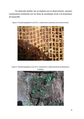 Foi observado também que as espécies que se desenvolveram, possuem
características condizentes com as faixas de precipitação anual e de temperatura
de Viçosa-MG.


    Figura 3: Parcela fotografada no dia 03/11, evidenciando a presença dos primeiros brotos.




   Figura 4: Parcela fotografada no dia 16/11, evidenciando o desenvolvimento de Brachiaria e
                                           Crotolária.




                                                                                                9
 