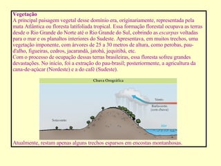 Vegetação A principal paisagem vegetal desse domínio era, originariamente, representada pela mata Atlântica ou floresta latifoliada tropical. Essa formação florestal ocupava as terras desde o Rio Grande do Norte até o Rio Grande do Sul, cobrindo as  escarpas  voltadas para o mar e os planaltos interiores do Sudeste. Apresentava, em muitos trechos, uma vegetação imponente, com árvores de 25 a 30 metros de altura, como perobas, pau-d'alho, figueiras, cedros, jacarandá, jatobá, jequitibá, etc. Com o processo de ocupação dessas terras brasileiras, essa floresta sofreu grandes devastações. No início, foi a extração do pau-brasil; posteriormente, a agricultura da cana-de-açúcar (Nordeste) e a do café (Sudeste).                                                                                                                                                                                                                                                                                                                                       Atualmente, restam apenas alguns trechos esparsos em encostas montanhosas. 