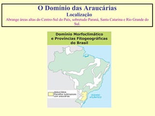 O Domínio das Araucárias      Localização Abrange áreas altas do Centro-Sul do País, sobretudo Paraná, Santa Catarina e Rio Grande do Sul. 