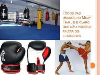 TODOS SÃO
USADOS NO   MUAY
THAI , E É CLARO
QUE NÃO PODERIA
FALTAR OS
LUTADORES
 