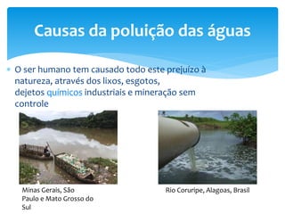  O ser humano tem causado todo este prejuízo à
natureza, através dos lixos, esgotos,
dejetos químicos industriais e mineração sem
controle
Causas da poluição das águas
Rio Coruripe, Alagoas, BrasilMinas Gerais, São
Paulo e Mato Grosso do
Sul
 