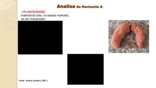 Analise do Horizonte A
PLASTICIDADE
material do solo, no estado molhado,
ao ser manipulado
Fonte: Autora (outubro, 2021 )
 