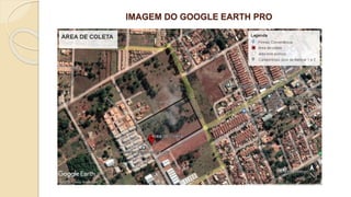 IMAGEM DO GOOGLE EARTH PRO
 
