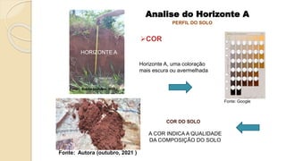 COR DO SOLO
A COR INDICA A QUALIDADE
DA COMPOSIÇÃO DO SOLO
PERFIL DO SOLO
HORIZONTE A
Horizonte A, uma coloração
mais escura ou avermelhada
Fonte: Autora (outubro, 2021 )
Fonte: Autora (outubro, 2021 )
Fonte: Google
Analise do Horizonte A
COR
 