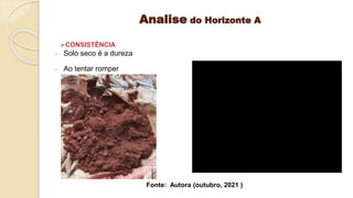 Analise do Horizonte A
- Solo seco é a dureza
- Ao tentar romper
CONSISTÊNCIA
Fonte: Autora (outubro, 2021 )
 