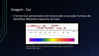 Imagem - Cor
• O termo Cor apresentado está relacionado a sensação humana de
identificar diferentes espectros de luzes.
SCURI ESCAÑO, Antônio. Fundamentos da Imagem Digital, Tecgraf/PUC-Rio,
Setembro 2002. Pág. 31
12
 