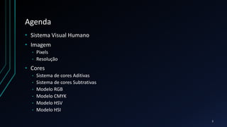 Agenda
• Sistema Visual Humano
• Imagem
• Pixels
• Resolução
• Cores
• Sistema de cores Aditivas
• Sistema de cores Subtrativas
• Modelo RGB
• Modelo CMYK
• Modelo HSV
• Modelo HSI
2
 