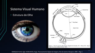 Sistema Visual Humano
• Estrutura do Olho
MARQUES FILHO, Ogê; VIEIRA NETO, Hugo. Processamento Digital de Imagens, Rio de Janeiro: Brasport, 1999 – Pág. 6
3
 