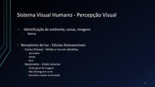 Sistema Visual Humano - Percepção Visual
• Identificação de ambiente, cenas, imagens
• Retina
• Receptores de luz - Células fotossensíveis
• Cones (Fóvea) - Nítida e rica em detalhes
• Vermelho
• Verde
• Azul
• Bastonetes - Visão noturna
• Visão geral da imagem
• Não distinguem cores
• Sensíveis a baixo iluminação
4
 