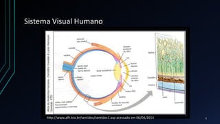Sistema Visual Humano
http://www.afh.bio.br/sentidos/sentidos1.asp acessado em 06/04/2014 5
 