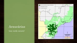 Araucárias
(em verde escuro)
 