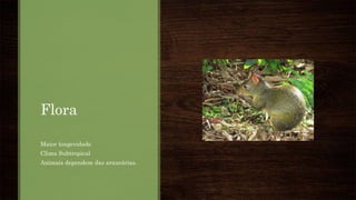 Flora
Maior longevidade
Clima Subtropical
Animais dependem das araucárias.
 