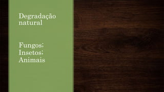 Degradação
natural
Fungos;
Insetos;
Animais
 