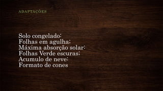 Solo congelado:
Folhas em agulha;
Máxima absorção solar:
Folhas Verde escuras;
Acumulo de neve:
Formato de cones
ADAPTAÇÕES
 