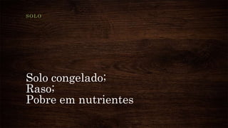 Solo congelado;
Raso;
Pobre em nutrientes
SOLO
 