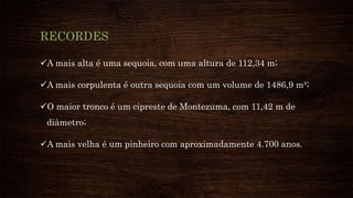 RECORDES
A mais alta é uma sequoia, com uma altura de 112,34 m;
A mais corpulenta é outra sequoia com um volume de 1486,9 m³;
O maior tronco é um cipreste de Montezuma, com 11,42 m de
diâmetro;
A mais velha é um pinheiro com aproximadamente 4.700 anos.
 