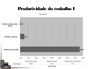 Produtividade do trabalho I 
Produtividade 
38,00 
2,50 
0,17 
0,00 5,00 10,00 15,00 20,00 25,00 30,00 35,00 40,00 
Tractor e charrua de 2 
ferros 
Parelha e charrua 
Homem com enxada 
Homem com enxada Parelha e charrua Tractor e charrua de 2 ferros 
Produtividade 38,00 2,50 0,17 
Tempo (dias) 
 