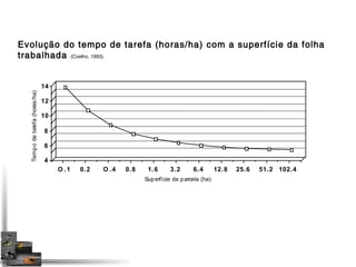 Evolução do tempo de tarefa (horas/ha) com a superfície da folha 
trabalhada (Coelho, 1993). 
O .1 0.2 O .4 0.8 1.6 3.2 6.4 12.8 25.6 51.2 102.4 
14 
12 
10 
8 
6 
4 
Tempo de tarefa (horas/ha) 
Superfície da parcela (ha) 
 