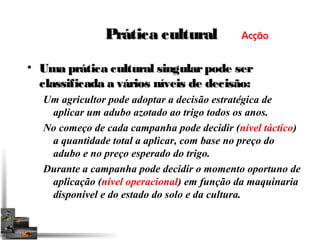 PPrrááttiiccaa ccuullttuurraall 
Acção 
• UUmmaa pprrááttiiccaa ccuullttuurraall ssiinngguullaarr ppooddee sseerr 
ccllaassssiiffiiccaaddaa aa vváárriiooss nníívveeiiss ddee ddeecciissããoo:: 
Um agricultor pode adoptar a decisão estratégica de 
aplicar um adubo azotado ao trigo todos os anos. 
No começo de cada campanha pode decidir (nível táctico) 
a quantidade total a aplicar, com base no preço do 
adubo e no preço esperado do trigo. 
Durante a campanha pode decidir o momento oportuno de 
aplicação (nível operacional) em função da maquinaria 
disponível e do estado do solo e da cultura. 
 